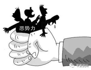 百度蜘蛛池咨询:重拳出击，全面打击网络蜘蛛池犯罪行为