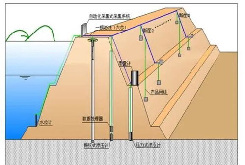 百度蜘蛛池收录:沉淀池的蜘蛛怎么办，科学有效的方法来应对