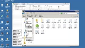 百度蜘蛛池效果:360蜘蛛池选哪家，全面解析，助您轻松选择最佳方案
