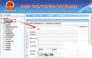 百度蜘蛛池咨询:蜘蛛池新手入门指南，如何快速提升网站排名
