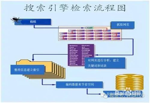 百度蜘蛛池优化:蜘蛛池建造流程详解，从基础到成型的实用图文教程