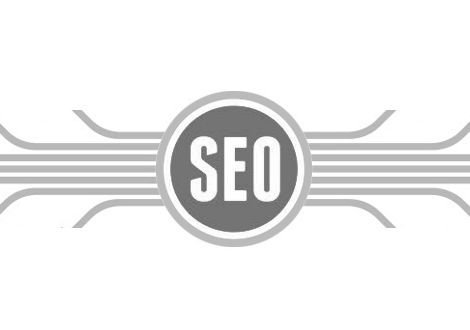百度蜘蛛池收录:SEO蜘蛛池在知乎平台的应用与优化策略