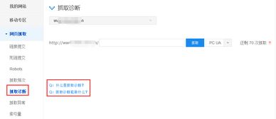 百度蜘蛛池租用:蜘蛛矿池提币设置详解，轻松实现财富增长