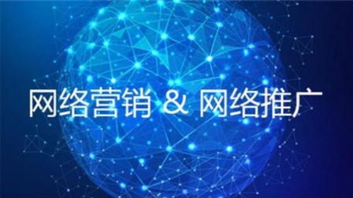 百度蜘蛛池优化:揭秘大宝蜘蛛池，网络营销中的神秘工具