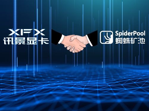 百度蜘蛛池效果:黑蜘蛛矿池，引领加密货币挖矿新时代