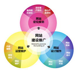 百度蜘蛛池引流:蜘蛛池A问上海百首，探寻网络营销新趋势
