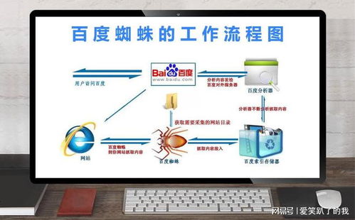 百度蜘蛛池出租:揭秘阿里蜘蛛池的奥秘，它的作用与价值