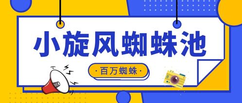 百度蜘蛛池价格:蜘蛛池配置材料视频教程，打造高效SEO工具，提升网站排名
