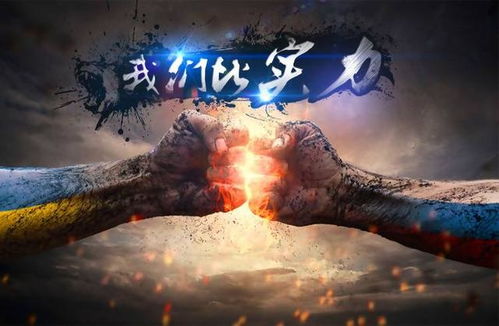 百度蜘蛛池收录:揭秘蜘蛛矿池，带你了解矿池的神秘世界
