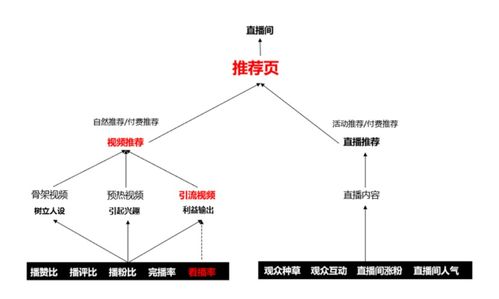 百度蜘蛛池引流:深度解析小霸王蜘蛛池，揭秘其运作原理及优化技巧