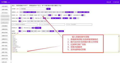 百度蜘蛛池优化:搭建蜘蛛池全攻略，揭秘高效内容抓取与数据采集的方法