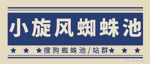 百度蜘蛛池出租:百度权重蜘蛛池实战攻略，揭秘高效SEO优化之道