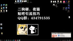 百度蜘蛛池引流:蜘蛛矿池团队，科技驱动下的区块链新势力