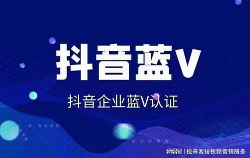 短视频seo推广隐迅推专业