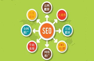 seo网站优化网站编辑招聘