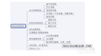 seo网站推广简历