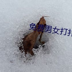 免费男女打扑克的软件