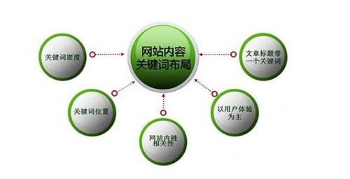 百度蜘蛛池价格:揭秘正规SEO优化课程，外推蜘蛛池在搜索引擎优化中的应用与技巧
