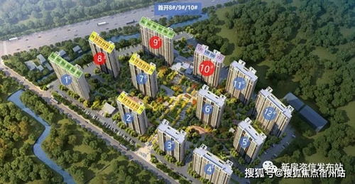 百度蜘蛛池价格:深度解析，哪个蜘蛛池效果好一点？