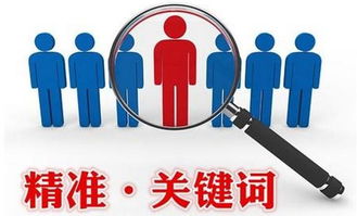 百度蜘蛛池租用:蜘蛛池做法，揭秘ahua se高效引流秘籍