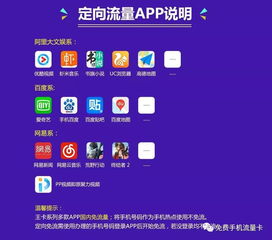 百度蜘蛛池优化:揭秘微博视频蜘蛛池，流量背后的技术奥秘
