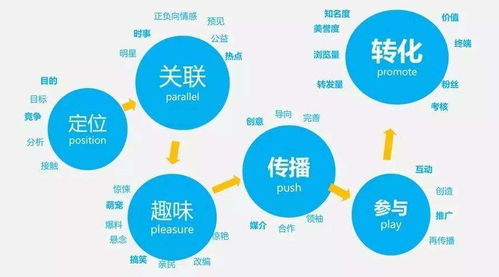 百度蜘蛛池优化:揭秘蜘蛛池的制作过程，网络营销的利器
