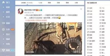 百度蜘蛛池引流:蜘蛛池首推大将军20，全新升级，助力网络营销再攀高峰