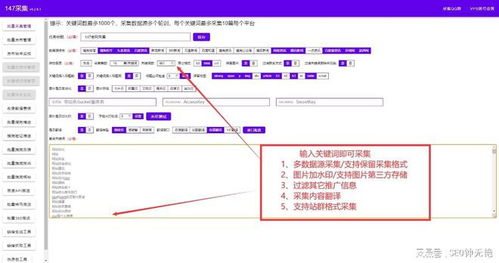 百度蜘蛛池租用:云蜘蛛池系统，新时代网络数据采集与处理的利器