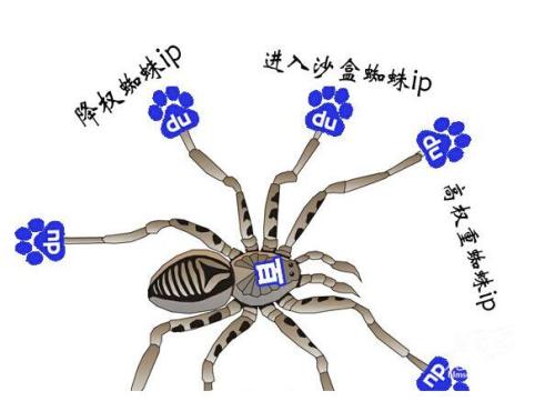 百度蜘蛛池价格:如何打造高效蜘蛛池——实用蜘蛛池教程视频全解析