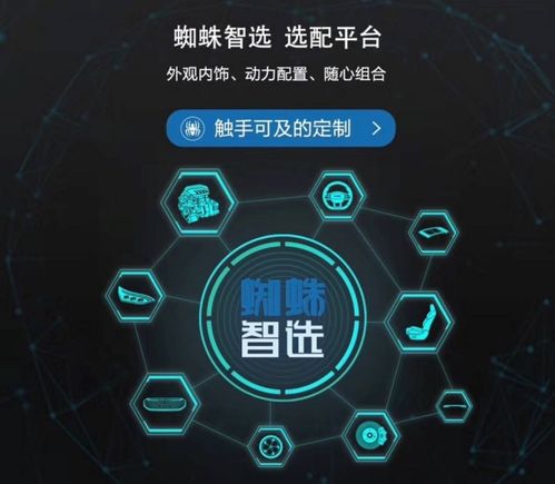 百度蜘蛛池引流:深度解析蜘蛛池工具全定zjkwlgs，功能强大，助力网络爬虫高效运行