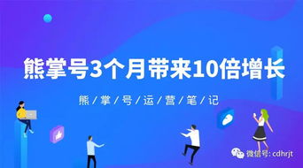 百度蜘蛛池出租:手把手教你搭建蜘蛛池，轻松提升网站收录和流量！