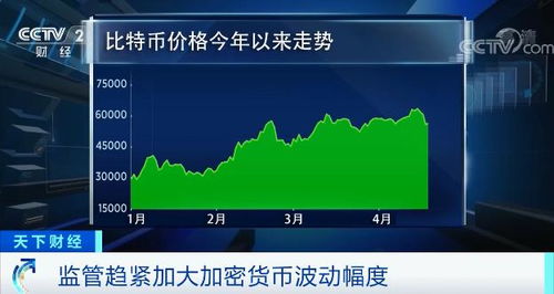 百度蜘蛛池引流:蜘蛛矿池的延迟之谜，揭秘数字货币挖矿的隐忧与挑战