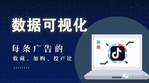 百度蜘蛛池咨询:蜘蛛池软件WD云速捷，助力网络营销，提升企业竞争力