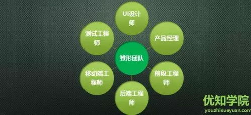 百度蜘蛛池咨询:蜘蛛池程序使用视频教程，轻松掌握网络爬虫高效技巧