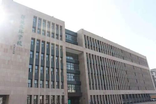 百度蜘蛛池价格:揭秘蜘蛛池一天产出多少蜘蛛，揭秘背后的秘密与挑战