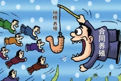 百度蜘蛛池租用:揭秘蜘蛛饲养池，高清大图带你走进神秘的世界