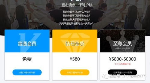 百度蜘蛛池引流:谷歌蜘蛛池网站官方下载指南，提升网站SEO效果的关键工具解析