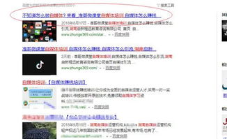 百度蜘蛛池引流:如何将网页高效地放入蜘蛛池，优化搜索引擎收录的关键步骤