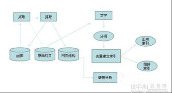 百度蜘蛛池咨询:SEO蜘蛛池搭建全攻略，构建高效网络爬虫系统