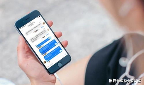百度蜘蛛池引流:蜘蛛池监控软件，高效监控网络安全的得力助手