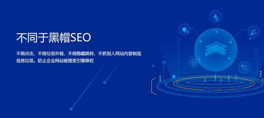 百度蜘蛛池咨询:揭秘蜘蛛池外链代发，网络营销的新宠儿