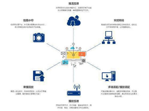 百度蜘蛛池引流:轻松搭建蜘蛛池，新手必看视频教程详解