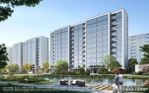 百度蜘蛛池价格:深度解析，如何将链接有效放入蜘蛛池，提升网站SEO优化效果