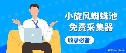 百度蜘蛛池租用:小旋风蜘蛛池采集问题，深入剖析采集问题bug及解决方案