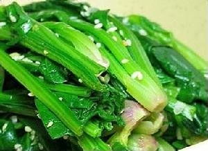 百度蜘蛛池收录:蜘蛛池推菠菜效果好不好，深度解析与实战分享