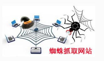 百度蜘蛛池引流:外推蜘蛛池托管,高效内容抓取的秘密武器 百度蜘蛛池引流:外推蜘蛛池托管,高效内容抓取的秘密武器