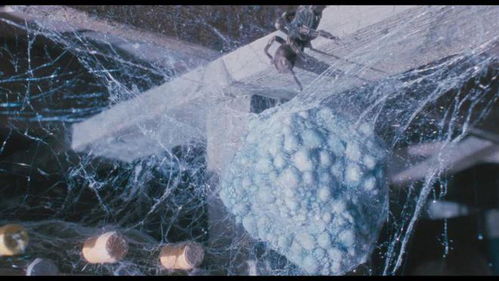 百度蜘蛛池出租:蜘蛛池人脑，揭秘电影中的科幻与现实碰撞之谜