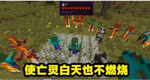 百度蜘蛛池引流:蜘蛛池英雄，网络世界的隐秘守护者