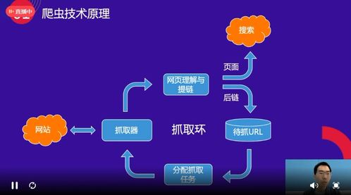 百度蜘蛛池租用:蜘蛛池新闻站JavaScript应用与创新，构建高效新闻内容聚合平台的秘诀