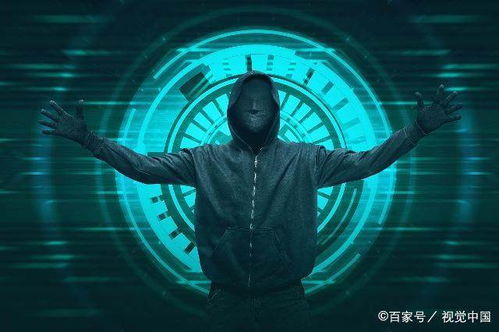 百度蜘蛛池引流:揭秘蜘蛛池，网络世界中的神秘存在